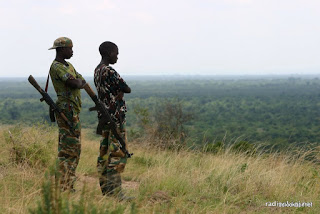 Jeunes homme armées dans le Nord-Kivu.
