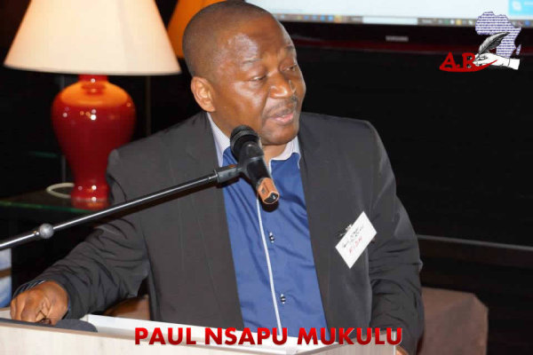 Paul NSAPU MUKULU, Secrétaire Général FIDH, section Afrique