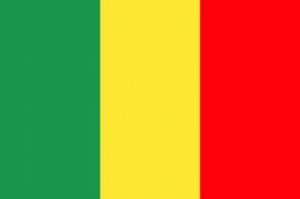 Mort de deux travailleurs humanitaires maliens dans le nord du Mali
