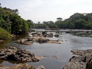 L'UNESCO appelle à la protection des sites du patrimoine mondial dans l'est de la RDC