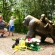 Gorille abattu dans le zoo de  Cincinnati aux Etats-Unis: la police ouvre une enquête